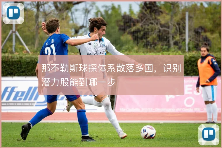 那不勒斯球探体系散落多国，识别潜力股能到哪一步