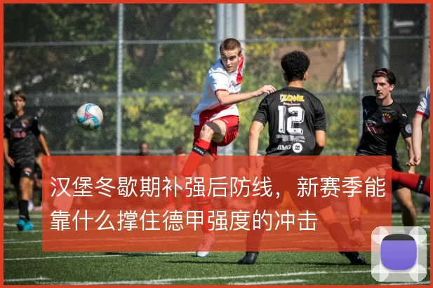 汉堡冬歇期补强后防线，新赛季能靠什么撑住德甲强度的冲击